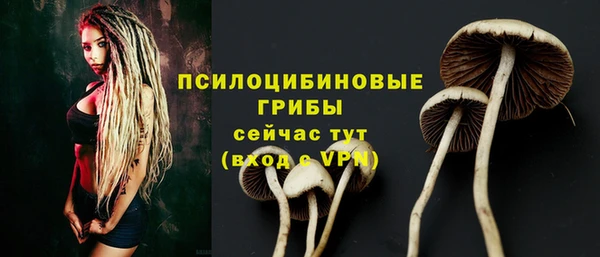 ПСИЛОЦИБИНОВЫЕ ГРИБЫ Алексеевка
