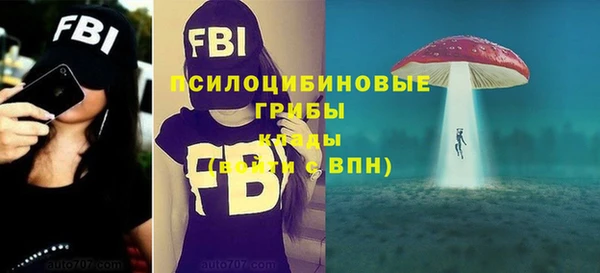 ПСИЛОЦИБИНОВЫЕ ГРИБЫ Алексеевка