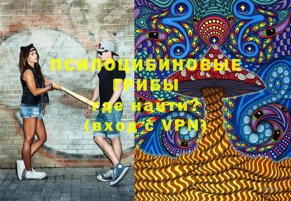 ПСИЛОЦИБИНОВЫЕ ГРИБЫ Алексеевка