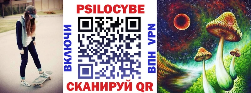 Галлюциногенные грибы Magic Shrooms  купить  цена  Райчихинск 